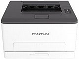���� ������ ����� CP1100DW ������ ���� Pantum CP1100DW