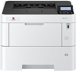 ���� ������ ������� PG L2645 ������ ���� Olivetti PGL2645