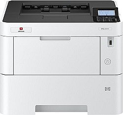 ���� ������ ������� PG L2655 ������ ���� Olivetti PGL2655